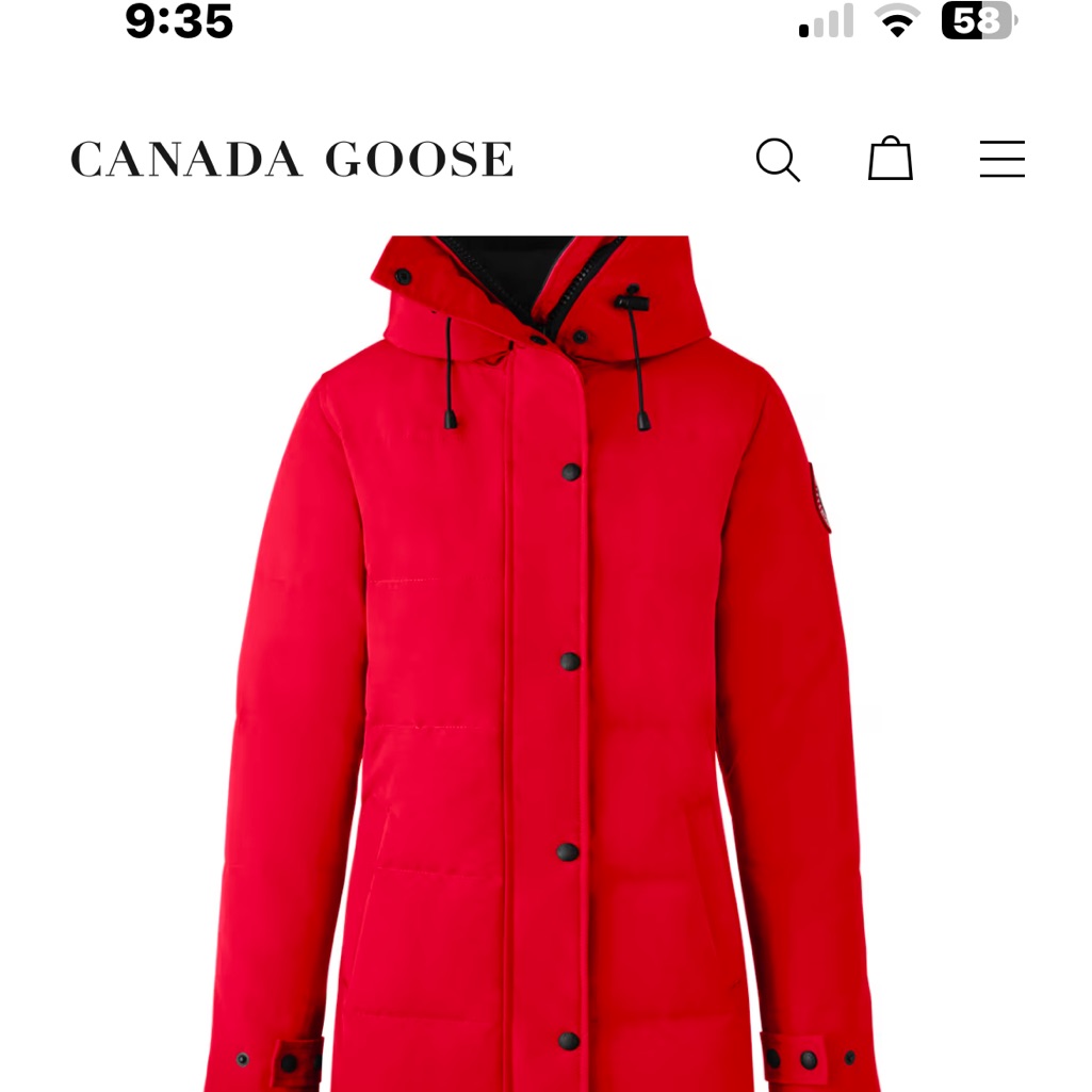 Rare Authentic Canada Goose